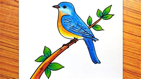 100,000+ Free Birds Drawing & Bird Images .